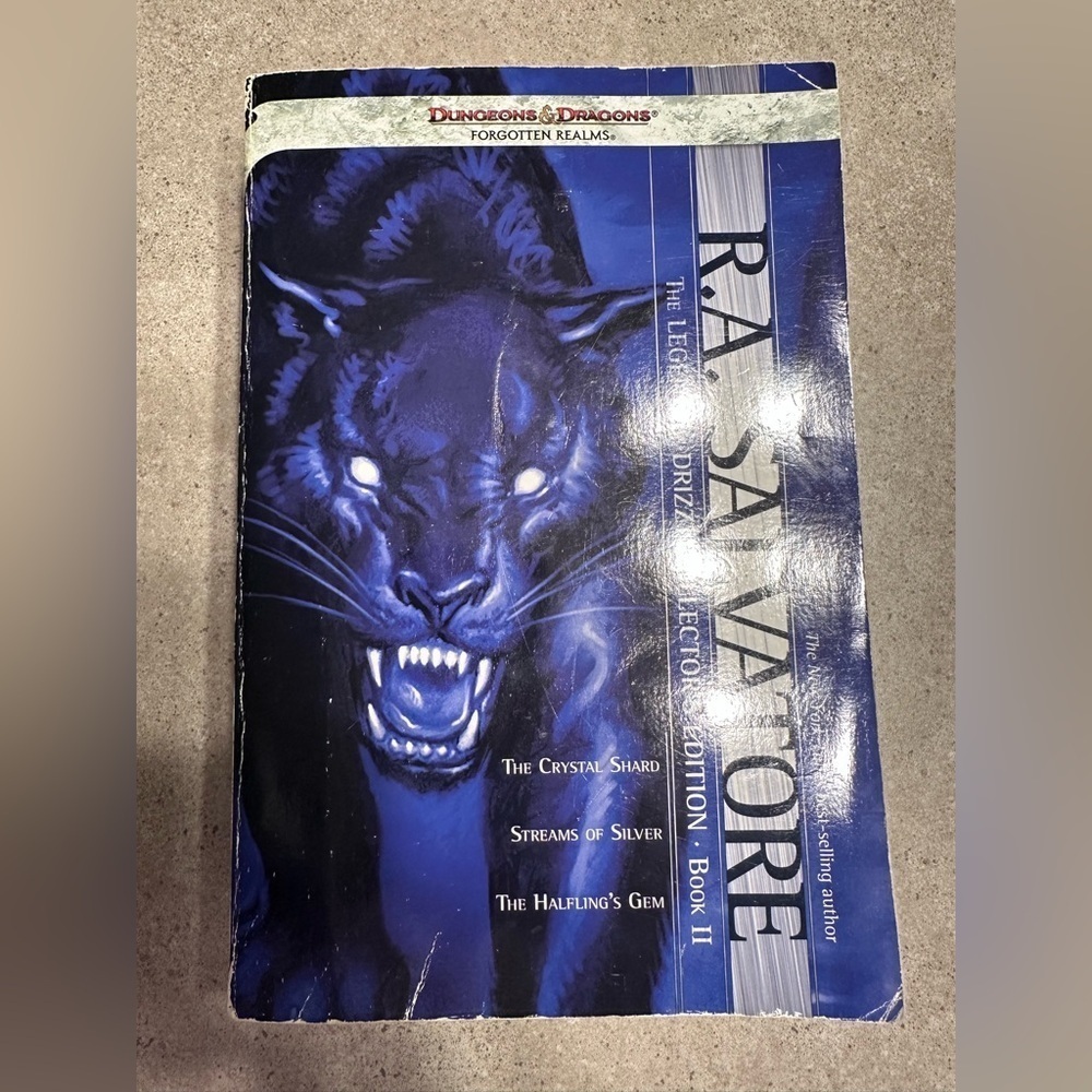 RA Salvatore Drizzt Do'Urden Collection book 2 and 3 Dungeons and Dragons
